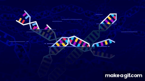Genetic Engineering Will Change Everything Forever – CRISPR on Make a GIF