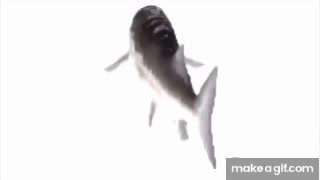 fish spinning to funky town low quality on Make a GIF