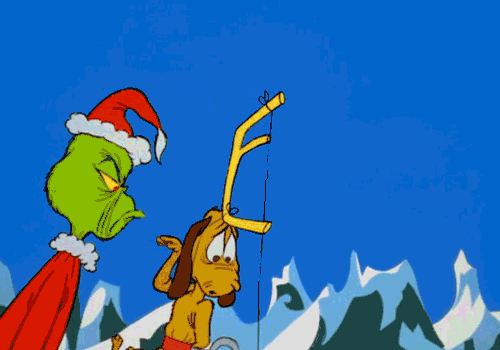Image result for grinch and dog gif