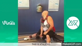 Z1nT5U.gif