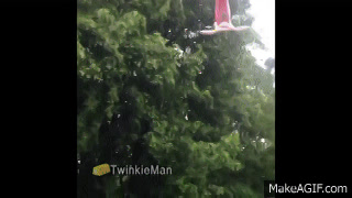 Mega Faggot Gif 5 Mega Faggot Gif 5