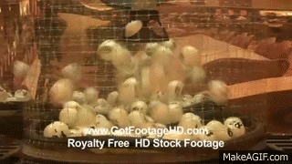 Df6FPG.gif