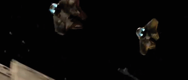 8O5-JD.gif