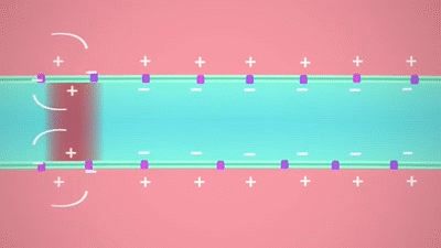 The Nervous System, Part 2 - Action! Potential!: Crash Course A&P #9 on