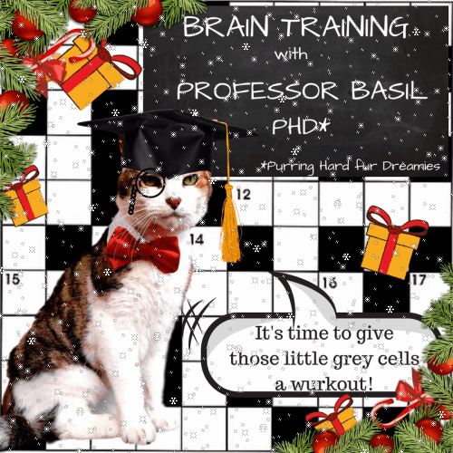Christmas Edition of Brain Training with Professor Basil