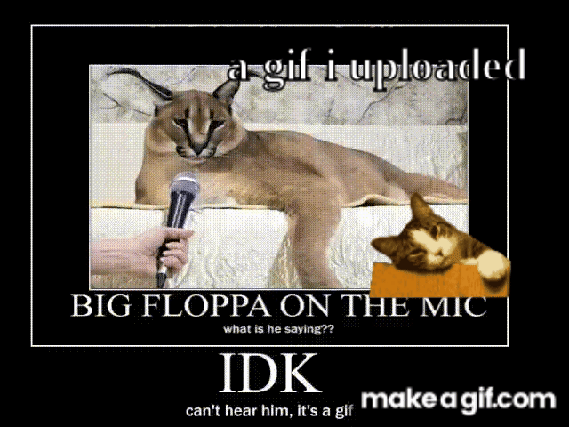 floppa meow :) on Make a GIF