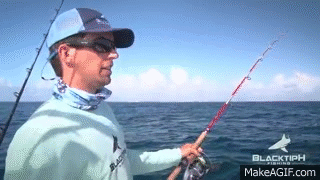 Monster Fishing on Shallow Florida Wrecks 