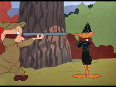 Rabbit Season, Duck Season trilogy. on Make a GIF