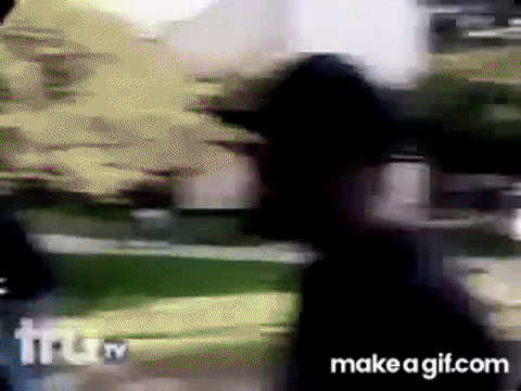 GxBS73.gif