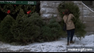 When Harry Met Sally - Christmas on Make a GIF