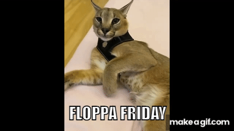 Floppa Long Cat He Is So Long GIF