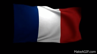 Î‘Ï€Î¿Ï„Î­Î»ÎµÏƒÎ¼Î± ÎµÎ¹ÎºÏŒÎ½Î±Ï‚ Î³Î¹Î± france gif flag