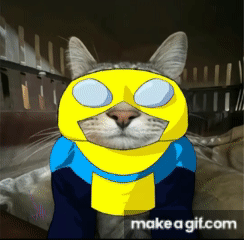 Cat on Make a GIF