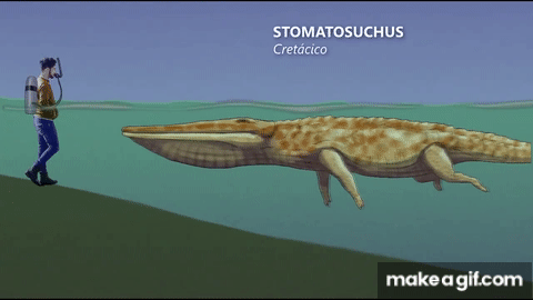 Paleoart Size Comparison Stomatosuchus And Archelon On Make A Gif