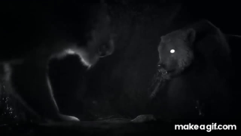 cave bear vs cave lion