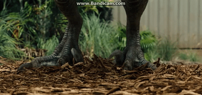 -HdkJ9.gif