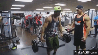 07fXq0.gif