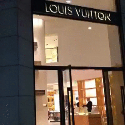 Louis Vuitton GIFs
