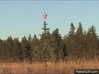 Christmas Tree Rocketry: The Art and Science of Holiday Recycling on Make a  GIF