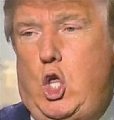 Trump unhinged on Make a GIF