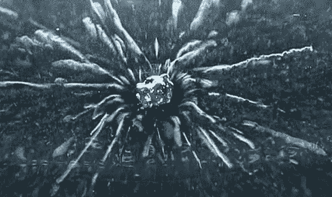 5nVinN.gif
