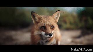 Volvo fox on Make a GIF