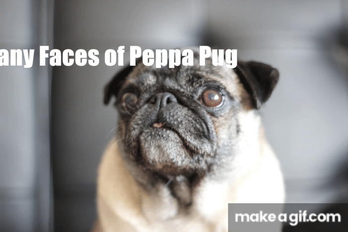 Peppa Pug on Make a GIF