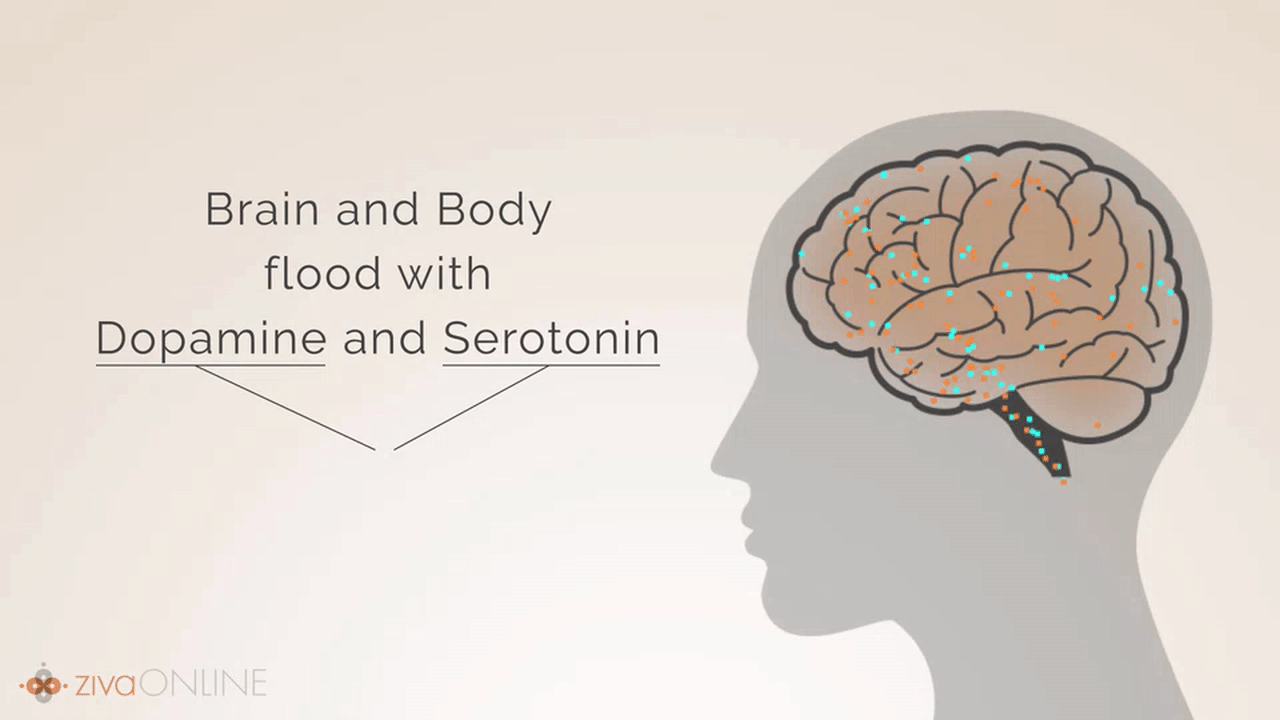 30++ Animated serotonin gif ideas in 2021 