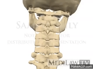 Cervical Spine Movement Lateral Flexion physical therapy presentations on  Make a GIF
