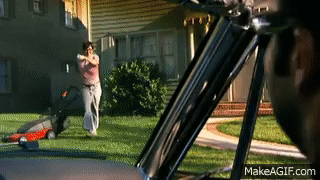 8WXSGl.gif