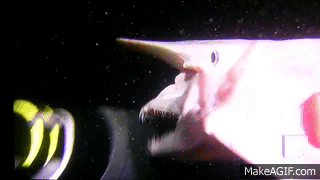 goblin shark gif