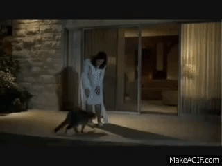 What Really Happens In The Sears Optical Raccoon Commercial on Make a GIF
