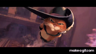 real life puss in boots gif