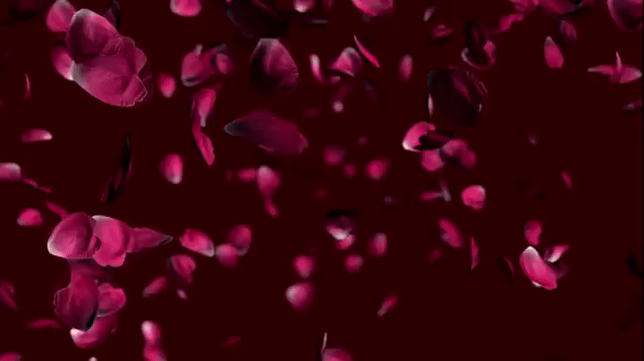 flower petals gif