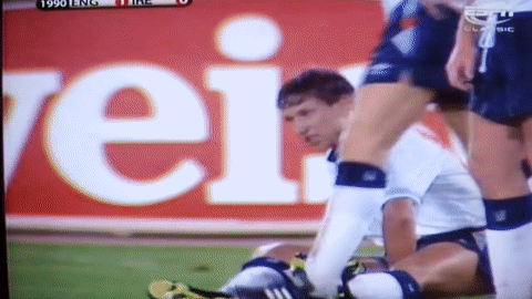 6sybe5.gif