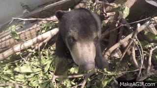 j0XRVi.gif
