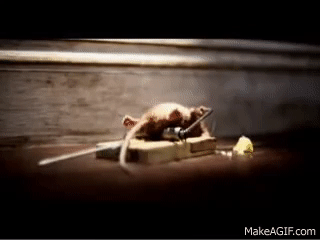 Rato preso na ratoeira - Só para os fortes on Make a GIF