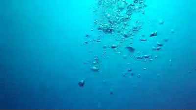 euxYv3 is an Animated GIF Image on Make a GIF