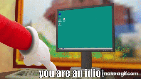 YOU ARE AN IDIOT Computer Monitor