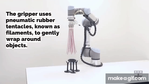 Tentacle Robot Can Gently Grasp Fragile Objects On Make A Gif Tentacle Robot Can Gently Grasp Fragile Objects On Make A Gif