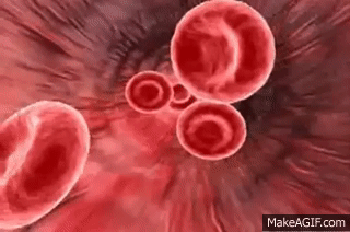 Red Blood Cell Animation on Make a GIF