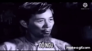 Đồ ngu đồ ăn hại cút mẹ mày đi on Make a GIF