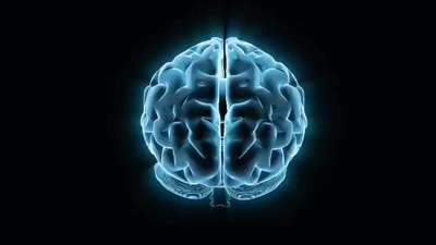 Image result for brain gif