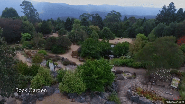 Rock Garden and Brunet Meadow at the Blue Mountains Botanic Garden
