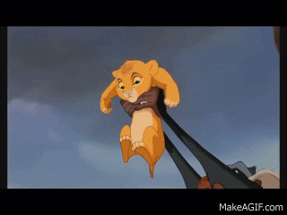 The Lion King - Baby Simba on Make a GIF