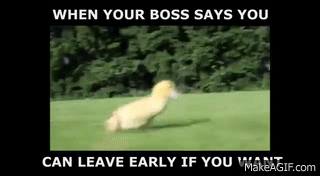 Phrasal verbs в английском языке. You have to leave early. Goose memes gif. Stop asking for permission. Have left или left.
