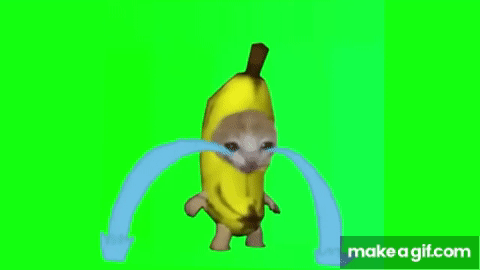 バナナ猫【猫ミーム素材】cat meme green screen on Make a GIF