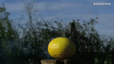 Znalezione obrazy dla zapytania melon gif