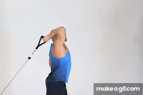 Back - Standing Rope Tricep Extension From A High Cable on Make a GIF