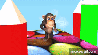 monkey computer gif